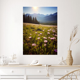 Plakat samoprzylepny Góry i polana z kwiatami krajobraz