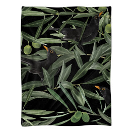 Koc Malowane ptaki kosy zamieszkujące gaj oliwny 