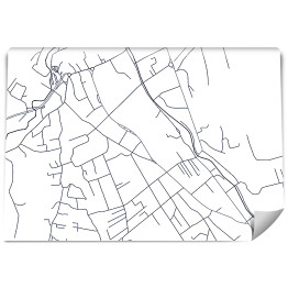 Fototapeta winylowa zmywalna Klasyczna mapa Zakopanego