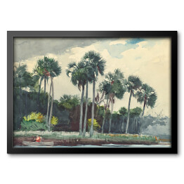 Obraz w ramie Winslow Homer Red Shirt, Homosassa, Florida Reprodukcja