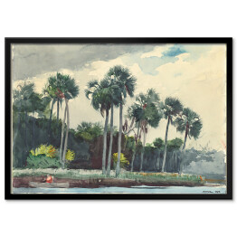 Plakat w ramie Winslow Homer Red Shirt, Homosassa, Florida Reprodukcja
