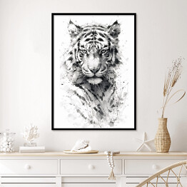 Plakat w ramie Tygrys - portret zwierzaka Rysunek
