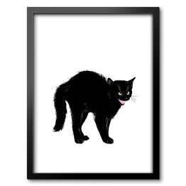 Obraz w ramie Zły czarny kociak z nastroszonym futerkiem