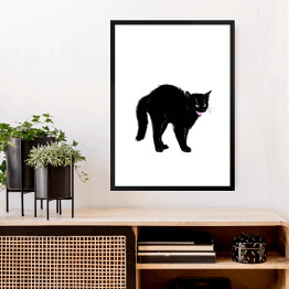 Obraz w ramie Zły czarny kociak z nastroszonym futerkiem