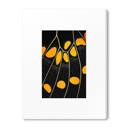 Obraz na płótnie Pomarańczowo biało czarne skrzydło motyla