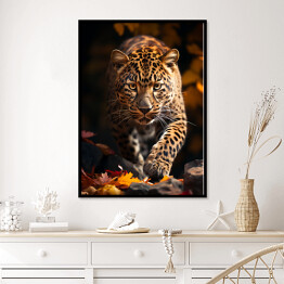 Plakat w ramie Leopard - zdjęcia zwierząt