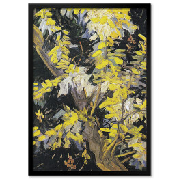 Obraz klasyczny Vincent van Gogh Kwitnące gałęzie akacji. Reprodukcja