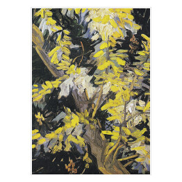 Plakat Vincent van Gogh Kwitnące gałęzie akacji. Reprodukcja