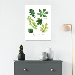 Plakat samoprzylepny Liście drzew - ilustracja