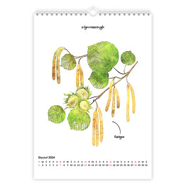 Kalendarz 13-stronicowy Kalendarz dla alergika z pyleniem roślin