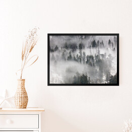 Obraz w ramie Szary las we mgle 3D