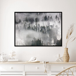 Plakat w ramie Szary las we mgle 3D