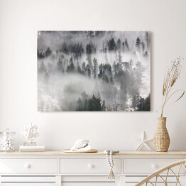Obraz na płótnie Szary las we mgle 3D