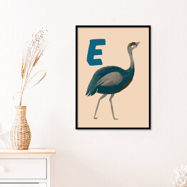Plakat w ramie Alfabet - E jak emu