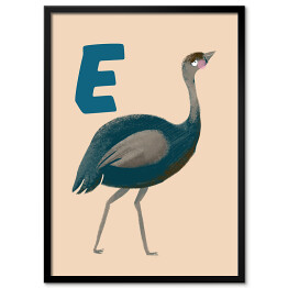 Plakat w ramie Alfabet - E jak emu