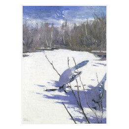 Plakat Abbott Handerson Thayer Błękitne sójki zimą Reprodukcja obrazu