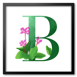 Obraz w ramie Roślinny alfabet - litera B jak bergenia