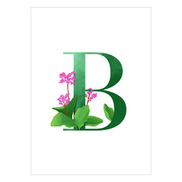 Plakat Roślinny alfabet - litera B jak bergenia