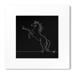 Obraz na płótnie Tajemniczy koń w ciemności