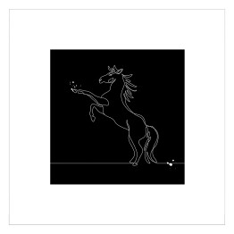Plakat samoprzylepny Tajemniczy koń w ciemności