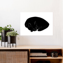Plakat Śpiący czarny koteczek
