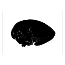 Plakat samoprzylepny Śpiący czarny koteczek