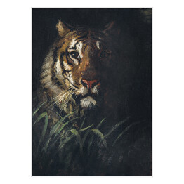 Plakat samoprzylepny Abbott Handerson Thayer Głowa tygrysa Reprodukcja obrazu