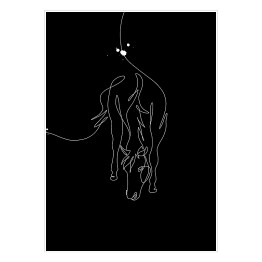 Plakat Zarys konia - czarne konie