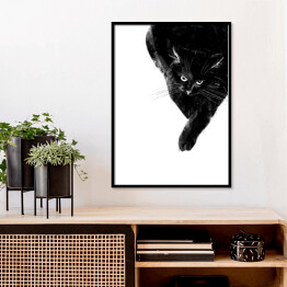 Plakat w ramie Zły czarny kot 