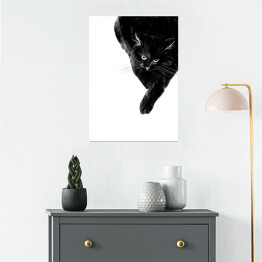 Plakat Zły czarny kot 