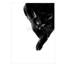 Plakat samoprzylepny Zły czarny kot 