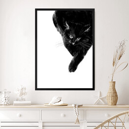 Obraz w ramie Zły czarny kot 