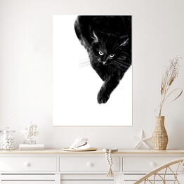 Plakat samoprzylepny Zły czarny kot 