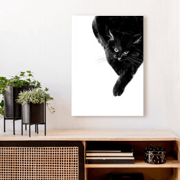 Obraz na płótnie Zły czarny kot 