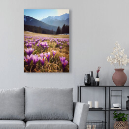 Obraz na płótnie Górski krajobraz z kwiatami na polanie