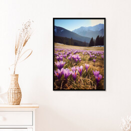 Plakat w ramie Górski krajobraz z kwiatami na polanie