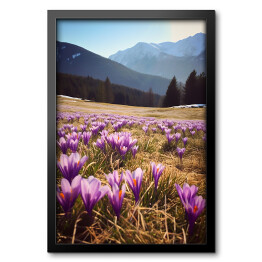 Obraz w ramie Górski krajobraz z kwiatami na polanie