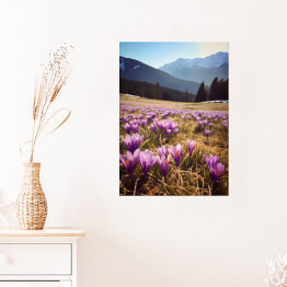 Plakat samoprzylepny Górski krajobraz z kwiatami na polanie