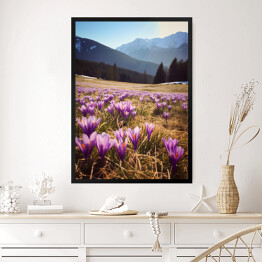 Obraz w ramie Górski krajobraz z kwiatami na polanie