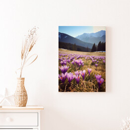 Obraz klasyczny Górski krajobraz z kwiatami na polanie