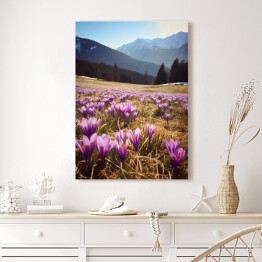 Obraz na płótnie Górski krajobraz z kwiatami na polanie