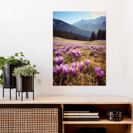 Plakat Górski krajobraz z kwiatami na polanie