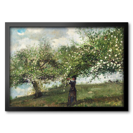Obraz w ramie Winslow Homer Dziewczyna zbierająca kwiaty jabłoni. Reprodukcja