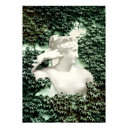 Plakat Wenus w zielonej roślinności 