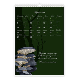 Kalendarz 13-stronicowy Kalendarz grzybiarza z fazami księżyca