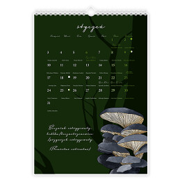 Kalendarz grzybiarza z fazami księżyca