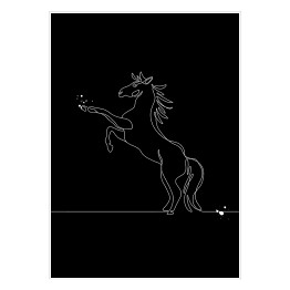 Plakat samoprzylepny Koń w skoku - czarne konie