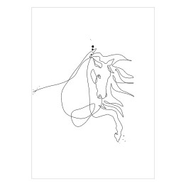 Plakat Koń z rozwianą grzywą - białe konie