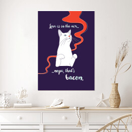 Plakat Głodny kotek
