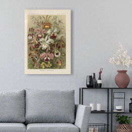 Obraz klasyczny Bukiet kwiatów vintage Ernst Haeckel Reprodukcja obrazu 